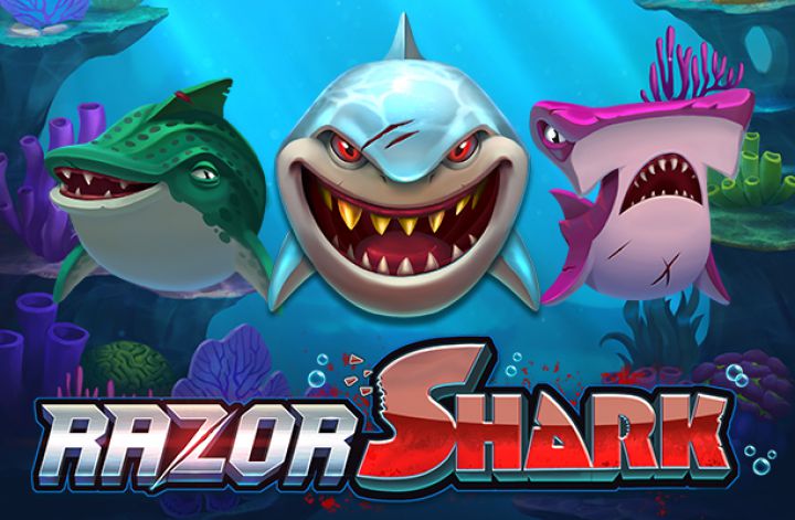sharkslot Sharkthslot
